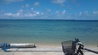 Michael Lucarelli - Dust in the Wind (Kansas)～Can't Help Falling in Love～Tears In Heaven