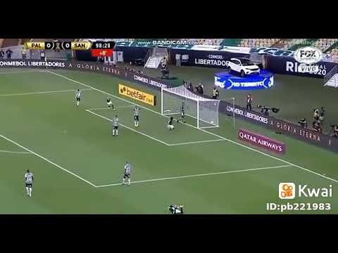 Cala a boca secador o Palmeiras ganhou 🤐🤐🤐