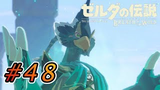 言葉が全てではないという事  #48【ゼルダの伝説ブレスオブザワイルド実況】