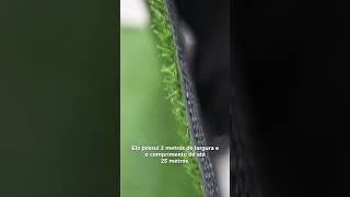 Vídeo de Grama Sintética 15mm Bicolor 2,00m Largura - Metro Quadrado