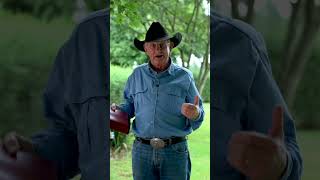 Who do you say Jesus is?