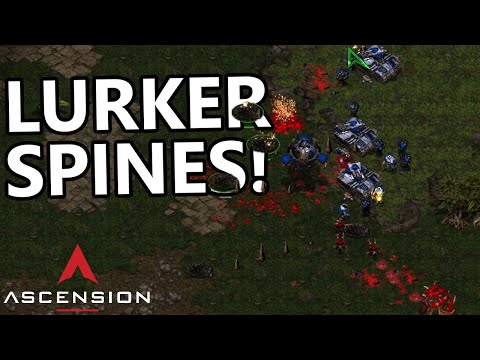 Aggressive Builds and Panicked Defenses - Ascension