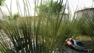 Beyond Enemy Lines 2 Gameplay (PC Game).