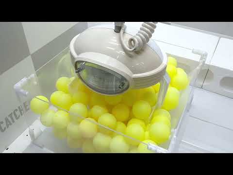 動画のサムネイル