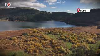 Bolu’nun Doğa Harikası Abant’ta Ziyaretçiler Akın Etti