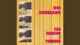 Download lagu Violeiro solteiro mp3