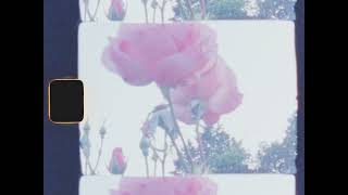 Tusks – “Body Ache (Synths and Strings)”