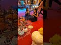 Shravani Serial Pooja Seen Shooting On Location Shorts Reels