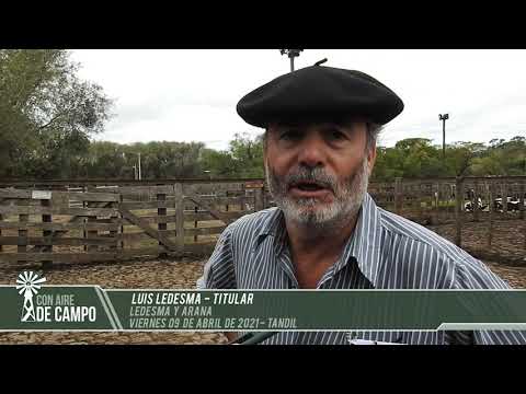 Luis Ledesma - Ledesma y Arana - Viernes 9 de abril de 2021 - Tandil
