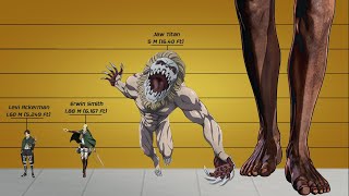 All Attack on Titan Characters Heights Comparison | AOT Titans & Humans Size Differences
