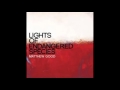 Matthew Good - Shallow's Low (Lyrics)