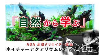 【ADA水草レイアウト講座】ネイチャーアクアリウム水槽の作り方を水景クリエイター本間さんに学ぶ【Aqua Izm】