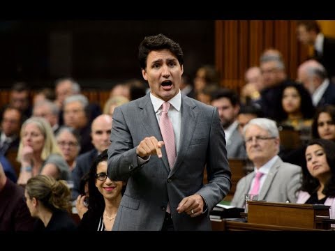 Question Period: Environmental assessment bill, political ads, single-use plastics — June 11, 2019