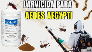 Como preparar larvicida Vectobac e usar nebulizador costal Guarany
