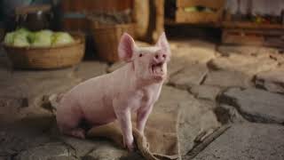 Mehrwertvolle Bio-Vielfalt von Ja! Natürlich