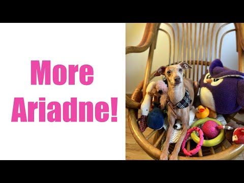 FUNNY CLIP || More Ariadne!