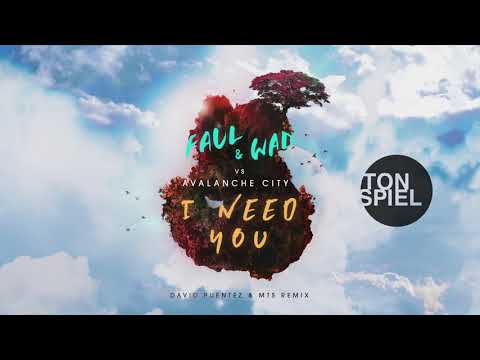 FAUL & WAD vs Avalanche City   I Need You (David Puentez & MTS Remix)
