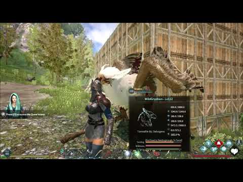 Dark and light, armadilha pra domar grifo