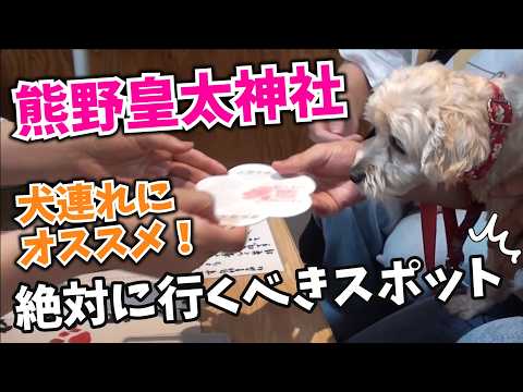 YouTube動画を再生