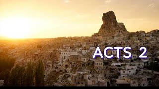 ACTS 2 NIV AUDIO BIBLE
