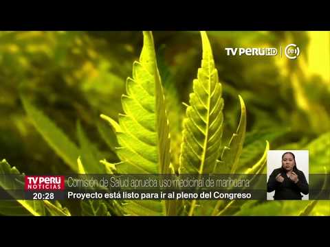 Comisión de Salud aprueba proyecto sobre uso de marihuana medicinal