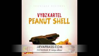 Vybz Kartel - Peanut Shell | Steppa Riddim | February 2013