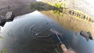 preview picture of video 'Trout Fishing Pleasant Valley Resevoir Bishop, Ca 5/5/12'