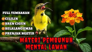 Download lagu MATERI PEMBUNUH MENTAL LAWAN‼️ Masteran sogon full tembakan mewah mp3