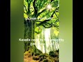 Pon Enpen Karaoke Cover By Ramamoorthy 60 Voice Of 20