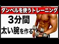 【3分間】自宅で太い腕を作る最強筋トレメニュー6種目!【ダンベル】