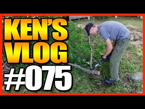 Ken's Vlog #75 - The Wendy House Tour, Cutting Wood, and The Cats