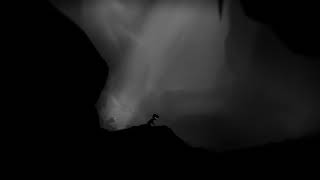 [ゲーム実況]LIMBO　＃3