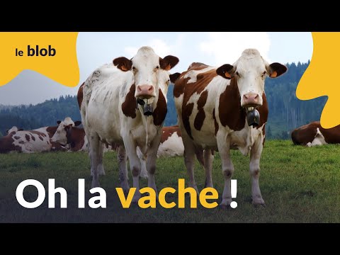 Oh la vache ! Une histoire naturelle des bovins de leur origine à nos jours | Documentaire
