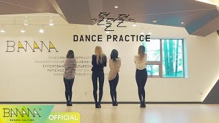 [EXID(이엑스아이디)] 덜덜덜 안무 영상(&#39;DDD&#39; Dance Practice Video)