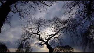 Tampa Red   Sad Letter Blues