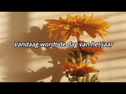 Vandaag - Sharon den Adel