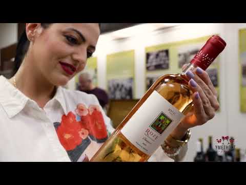 Umetnost u čaši ep. 134 31.05.2022. Priča o vinu, Loznica