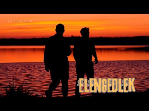 Elengedlek – Egy szív utolsó vallomása | AI Univerzum