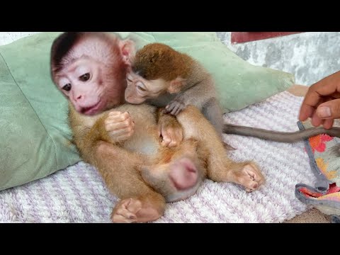 LiBi ärgerte sich, weil Dan ihm sehr nahe stand