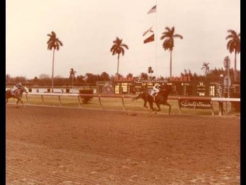 1979 Florida Derby with Jim McKay & Eddie Arcaro
