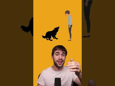 How To Survive A Dog Attack