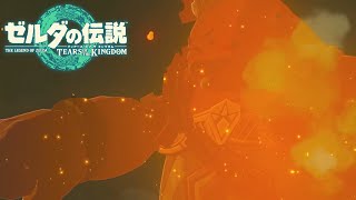 アクリル板越しのグータッチ【# ３１ 】【ゼルダの伝説 ティアーズ オブ ザ キングダム】