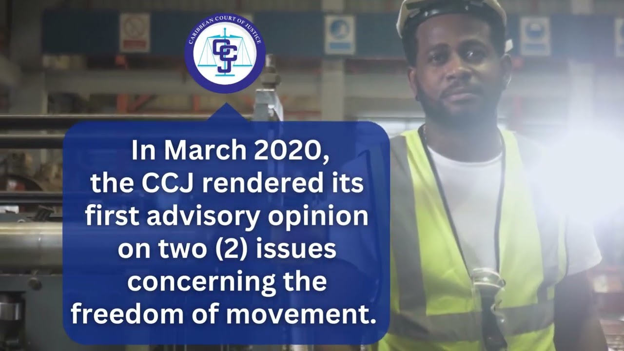 04 What are Advisory Opinions?