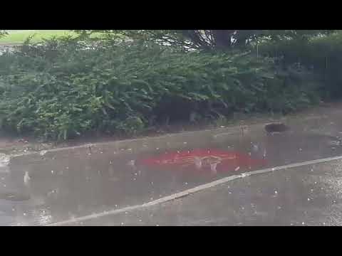 SLOVENSKENOVICE.SI: Toča v Ljubljani