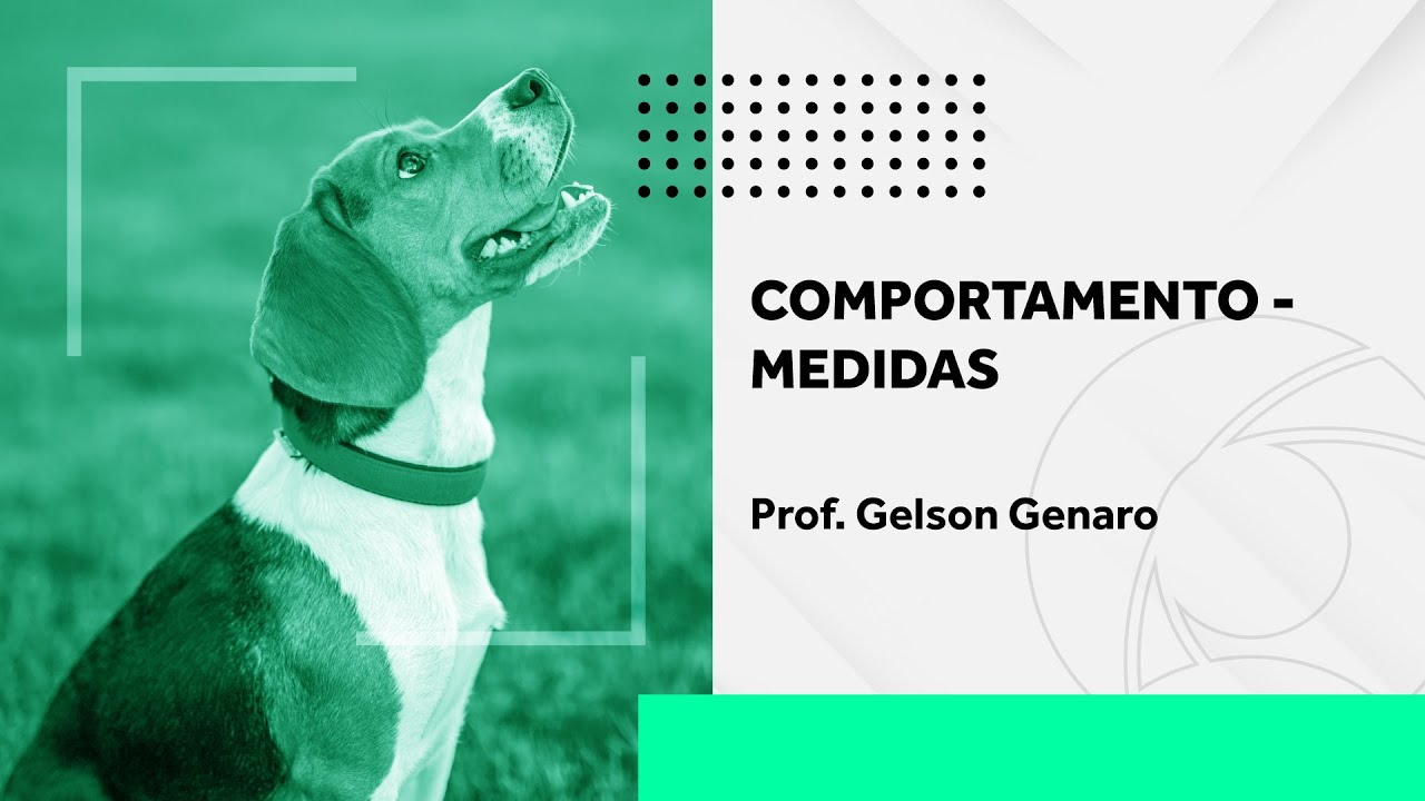 Comportamento - Medidas