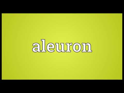 Aleuron Meaning