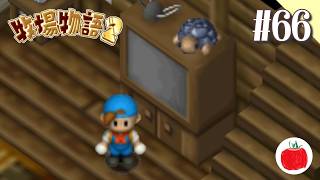 【実況】牧場物語2を初見で遊ぶいも【#66】