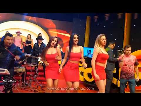 grupo MANDINGO - Numero Equivocado (TV - Playback)