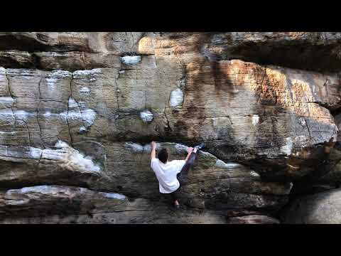 Phasis | 7C | Bowles