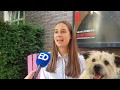 Zo belandde hondje Saar uit Heeze in de Nachtwacht van Rembrandt